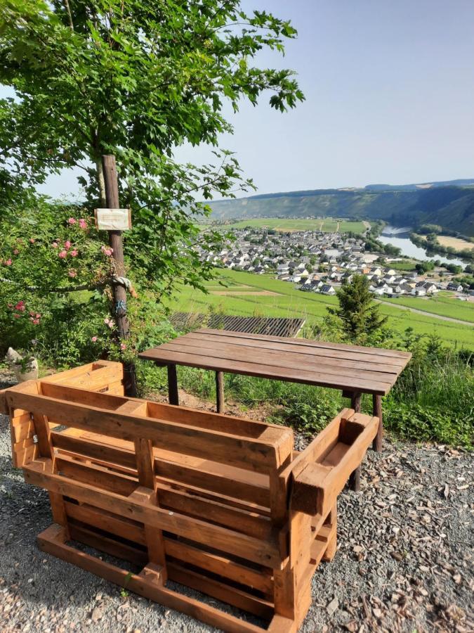 Biggi Apartamento Trittenheim Exterior foto